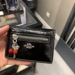 Ví đựng thẻ Card Case with Charms in Suede